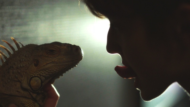 Kaan Müjdeci’nin yeni filmi “Iguana Tokyo”dan görseller paylaşıldı!