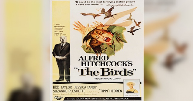 AçıkhavADA Sinema etkinliği devam ediyor