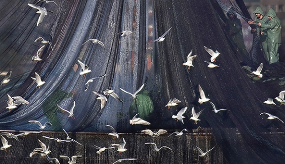 Kadın Gözüyle Hayattan Kareler fotoğraf sergisi dijitale taşındı