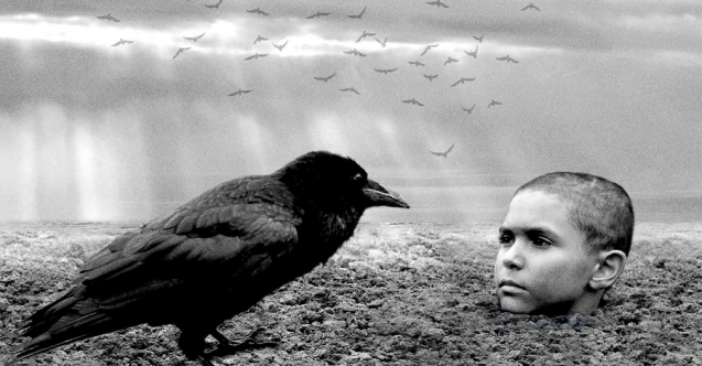 SİYAD'a göre 2020'de vizyona giren en iyi 20 yabancı film