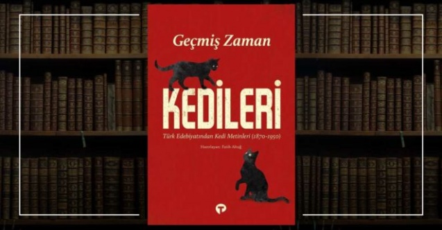 Geçmiş Zaman Kedileri'nde başrol kedilerin