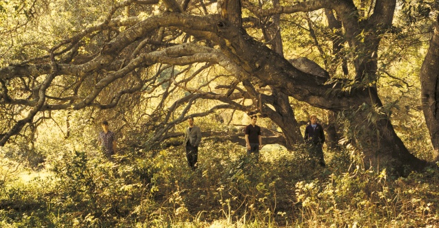 Brit-rock’un efsane grubu Travis, 19 Ekim’de Zorlu PSM’de