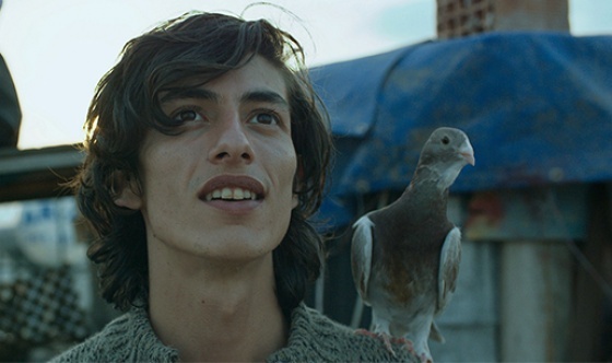 Güvercin bu akşam TRT 2 ekranında olacak