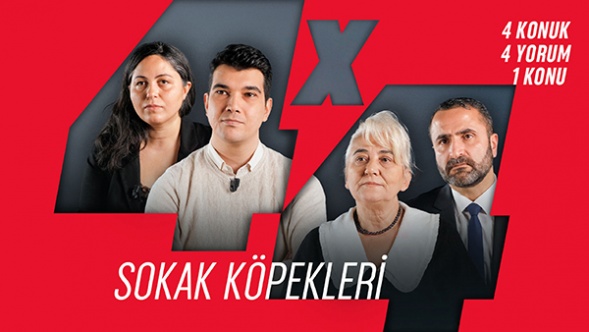 4x4 sokak köpekleri meselesini masaya yatırıyor