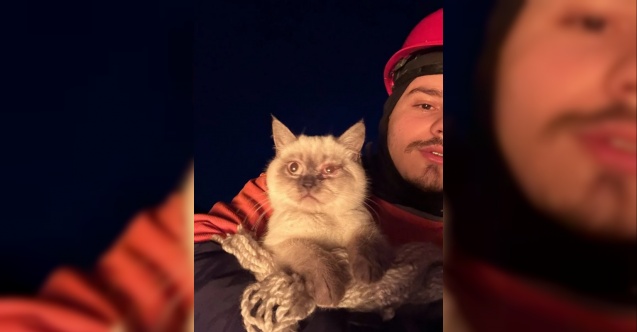 Enkazdan çıkarılan hayvanlar için sahra çadırı kuruldu