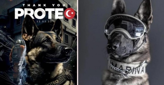 Proteo’nun ismi Kocaeli’de yaşatılacak