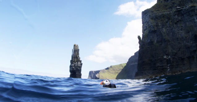 Kayıp dünyalar BBC Earth ile keşfediliyor