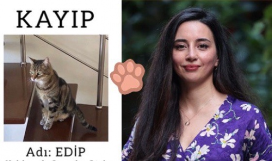 Senarist Deniz Madanoğlu kayıp kedisini arıyor!