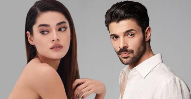 Yabani izleyicide merak uyandırdı