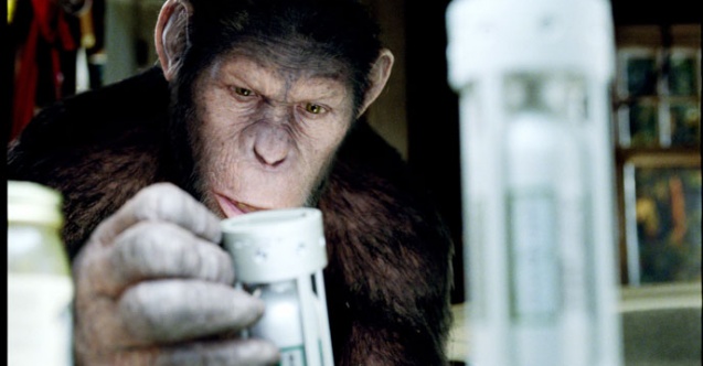 Maymunlar ve insanlar arasındaki büyük savaş