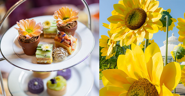 Van Gogh'n sanatı gastronomi ile buluşuyor