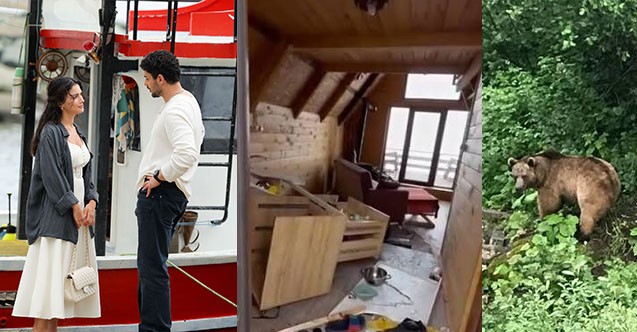 Gözleri Karadeniz setine ayı girdi!