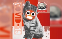 Fcov ve Covid-19 arasındaki benzerlikler