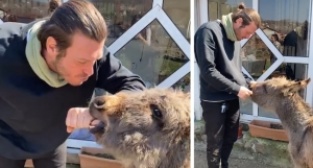 Sıpanın Kıvanç Tatlıtuğ sevgisi