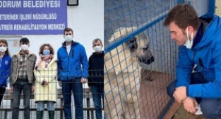 Kıvanç Tatlıtuğ hayvan barınağını ziyaret etti! 
