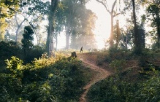 Sürdürülebilir Yaşam Film Festivali 2020 başlıyor