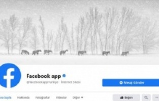 Facebook Türkiye, yılkı atlarını kapak fotoğrafı yaptı