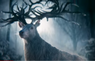 Shadow and Bone'un büyülü dünyasından kesit paylaşıldı