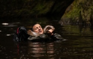 Animals on The Loose: A You vs Wild Movie'den ilk fragman