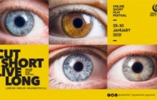 Ödüllü Türk filmleri dijital ortamda