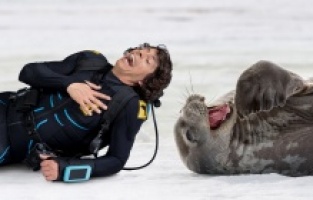 Mart ayında Cbeebies yayın programı şenleniyor