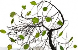 İstanbul Modern’den 23 Nisan’da çocuklara özel bir proje