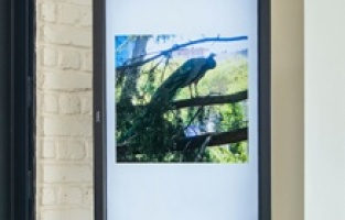 "Kazı ve Yüzey" sergisi SALT Galata'da açıldı