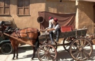 "Muallim" filmine ABD'den 5 ödül birden