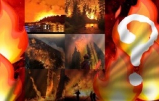 Orman yangınlarındaki son durum ne?