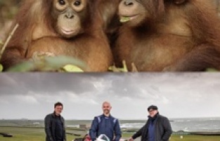 Tivibu'da belgesel zamanı