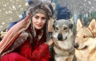 Akça Hatun ve kurtları