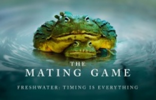 Doğa tarihi serileri hız kesmeden devam ediyor!