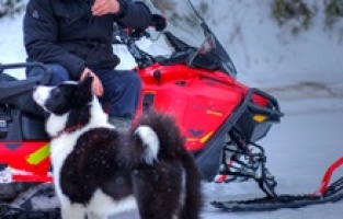"İnsanlar ve Köpekler" National Geographic WILD'da