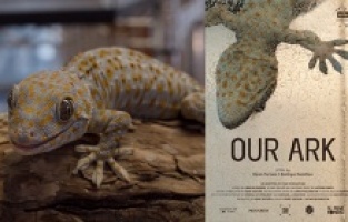 "Our Ark" Türkiye’de ilk kez İstanbul Film Festivali’nde