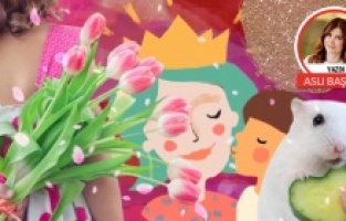 Annem, Webster ve ben!