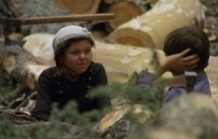 Buralı Belgeseller 8 ilde izleyiciyle buluşuyor