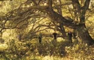 Brit-rock’un efsane grubu Travis, 19 Ekim’de Zorlu PSM’de