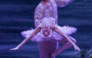 Beyoğlu Kültür Yolu Festivali’nde kuğular süzülecek