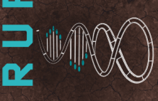 Alemlere Rahmet Uluslararası Kısa Film Festivali’nin etkinlik takvimi açıklandı