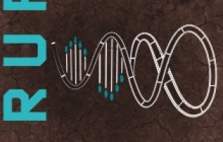 Sinemanın ustaları bir araya geldi