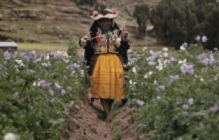 Salt’ın “Bu son şansımız mı?” filmleri çevrim içi erişime açılıyor