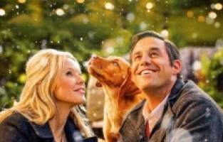 Üç eğlenceli romantik komedi  yılbaşında FilmBox'ta