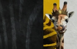 “Disney’in Sihirli Hayvan Krallığı” National Geographic ekranlarında