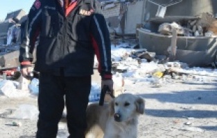 2 gün aynı enkazda görev yapan Köpük, 6 kişinin canlı kurtarılmasında rol oynadı