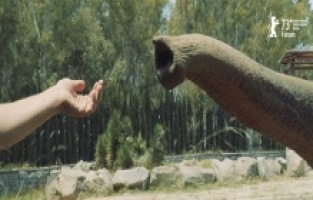 “Unutma Biçimleri” New Yorklu sinemaseverlerle buluşacak