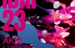 İstanbul Dijital Sanat Festivali başlıyor