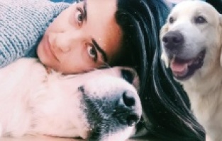 Tuba Büyüküstün 17 yıllık köpeği Korsan'ı kaybetti