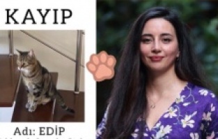 Senarist Deniz Madanoğlu kayıp kedisini arıyor!