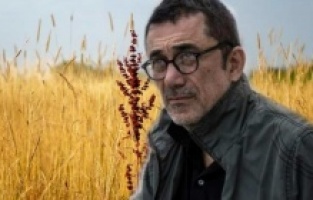 "Kuru Otlar Üstüne" New York Film Festivali'ne katılıyor