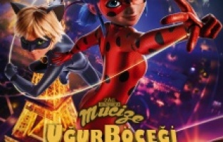 “Mucize Uğur Böceği ile Kara Kedi” hakkında her şey!